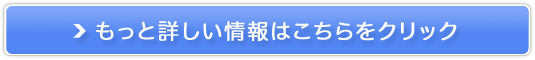 Ԕ惆[J[pbNyUcarz̔TCg